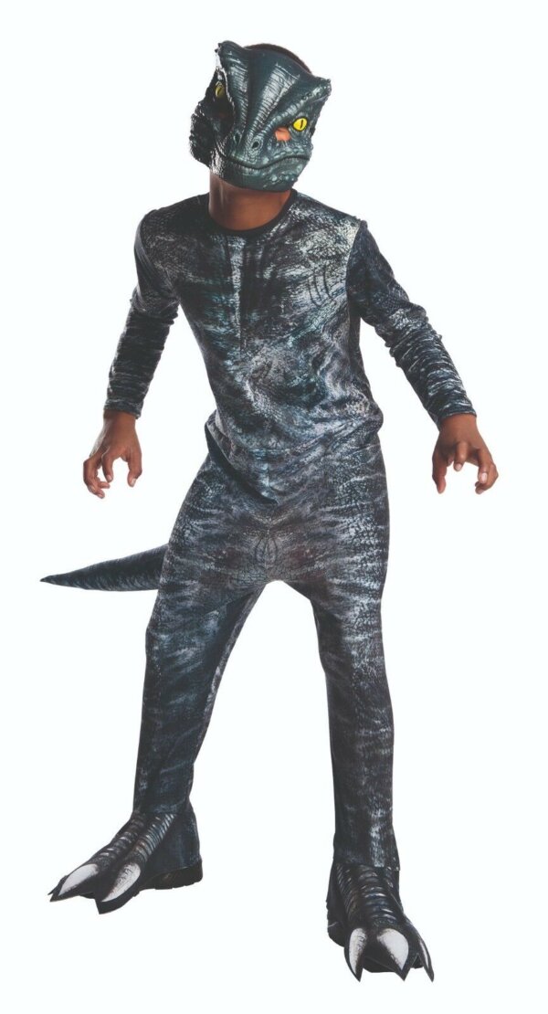 rubies-3641180-velociraptor-blue-jurassic-world-2-kinder-3641180_57ae5f1cd86c33cb_1920x1920.jpg