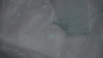 DSC00351.jpg