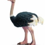 476043-Schleich-Strauss