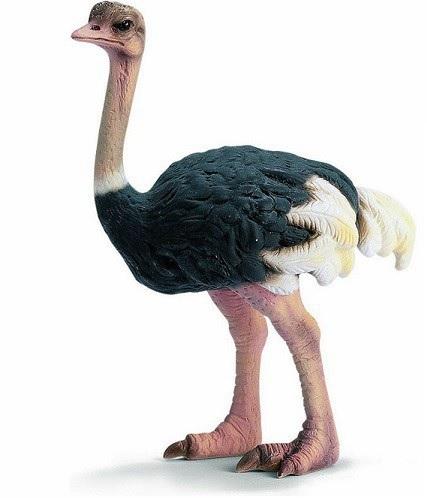 476043-Schleich-Strauss