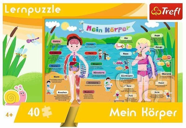 401056-Lernpuzzle-Mein-Koerper-40-Teile-Deutsche-Version