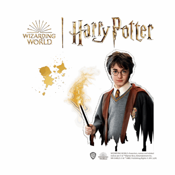 442046-SES-Harry-Potter-Steine-bemalen