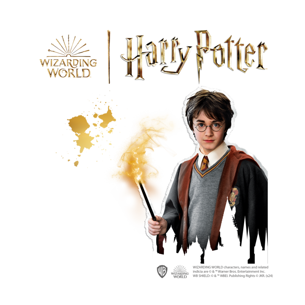 442046-SES-Harry-Potter-Steine-bemalen 442046-SES-Harry-Potter-Steine-bemalen