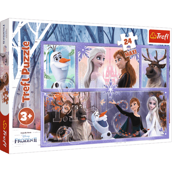 408863-Maxi-Puzzle-24-Teile-----Frozen-Welt-der-Magie