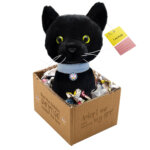 410422-Pauli--adopt-me---Pluesch