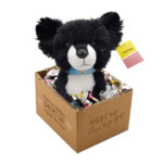 410425-Gino--adopt-me---Pluesch