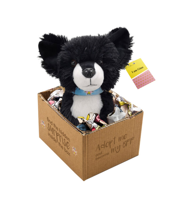 410425-Gino--adopt-me---Pluesch