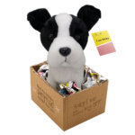 410424-Micky--adopt-me---Pluesch