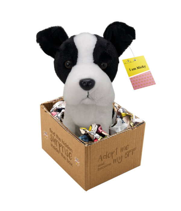 410424-Micky--adopt-me---Pluesch