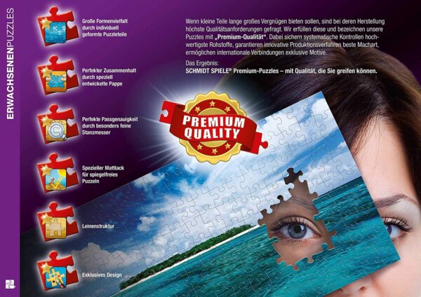 332332-Schmidt-Spiele-59480-Disney-Rapunzel-Thomas-Kinkade