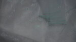 DSC00351.jpg
