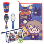 402107-Harry-Potter-vanity-case