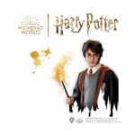 442046-SES-Harry-Potter-Steine-bemalen