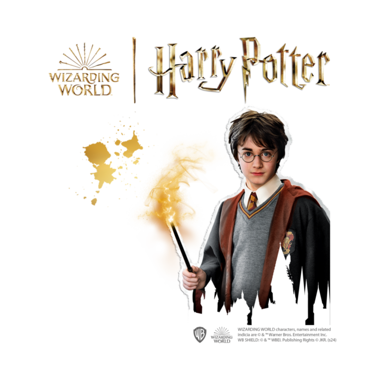 442046-SES-Harry-Potter-Steine-bemalen