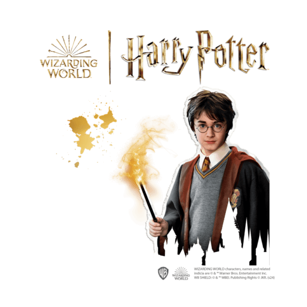 442046-SES-Harry-Potter-Steine-bemalen